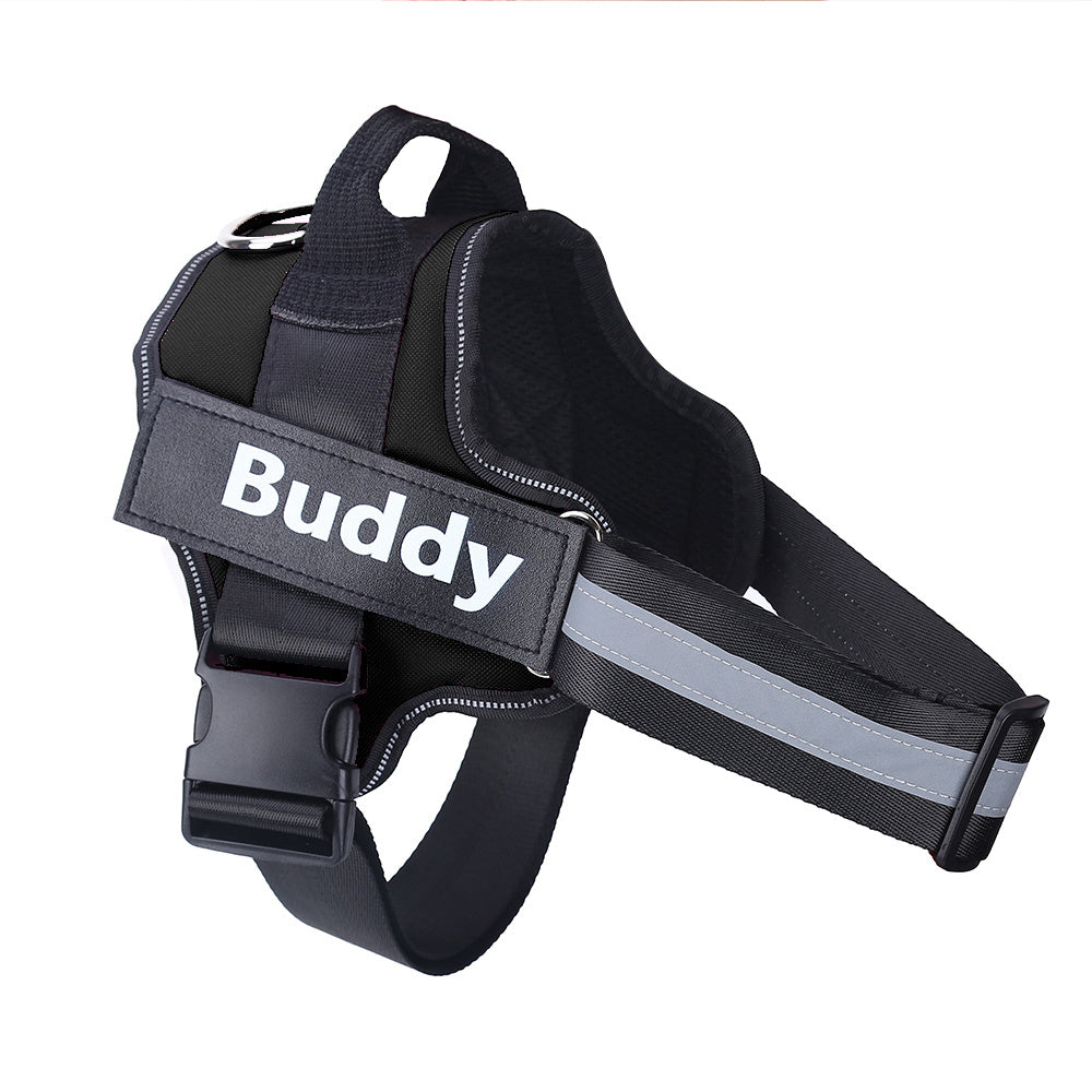 dog harness with name