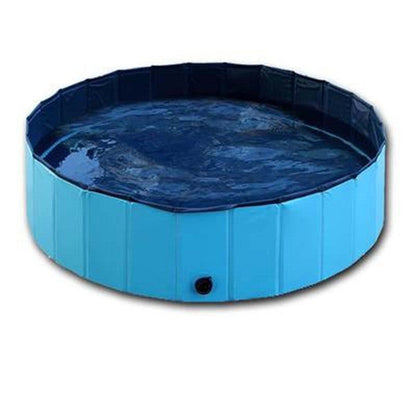 dog pool