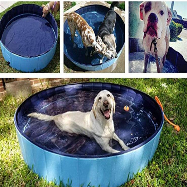 dog pool