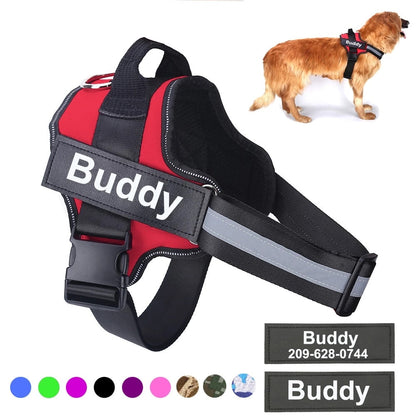 dog harness with name