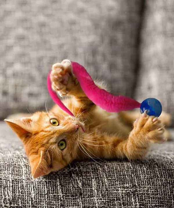 Cat Jiggle Ball & Tail